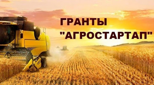 Прием заявок на получение грантов «Агростартап» продлится до 5 августа